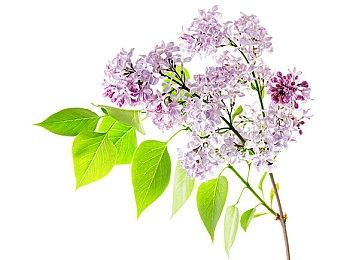 SE已取消多个游戏 开发资源分配将更精挑细选